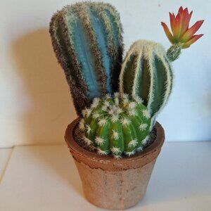 NEW Ashland Faux Triple Cactus Clay Pot Floral Succulent Michael's Desert Summer